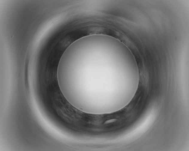 X0000114240191200910091516