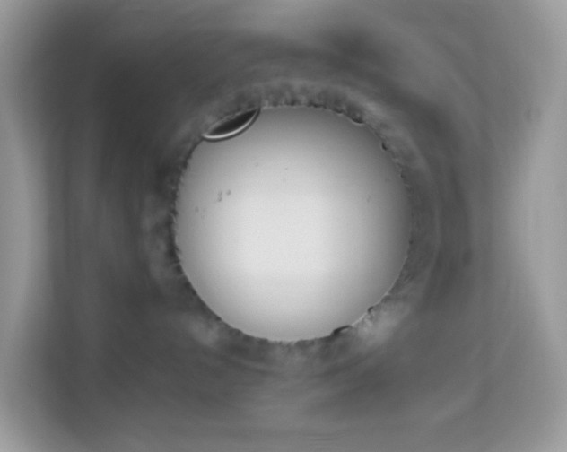 X0000114240192200910091516