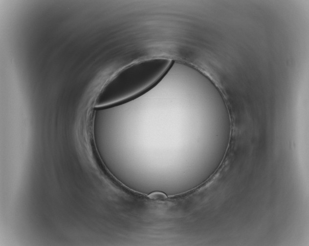 X0000114240193200910091515