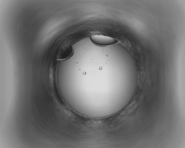 X0000114240194200910091515