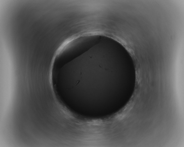 X0000114240196200910091515