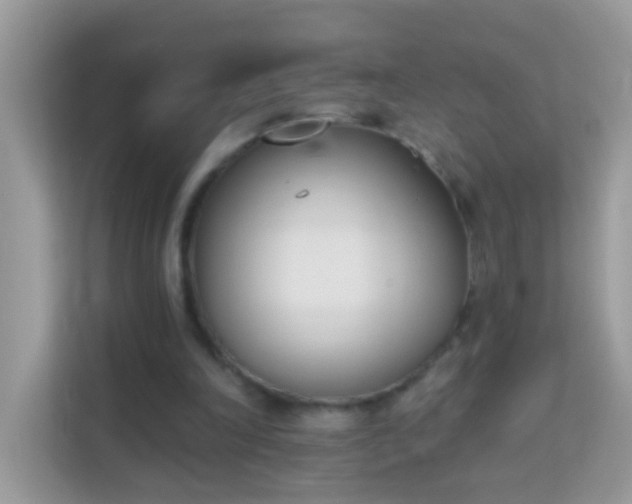 X0000114240198200910091515