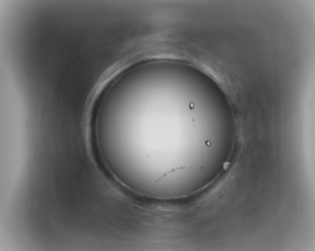 X0000114240199200910091515