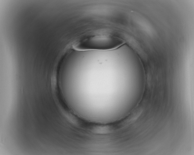 X0000114240202200910091515