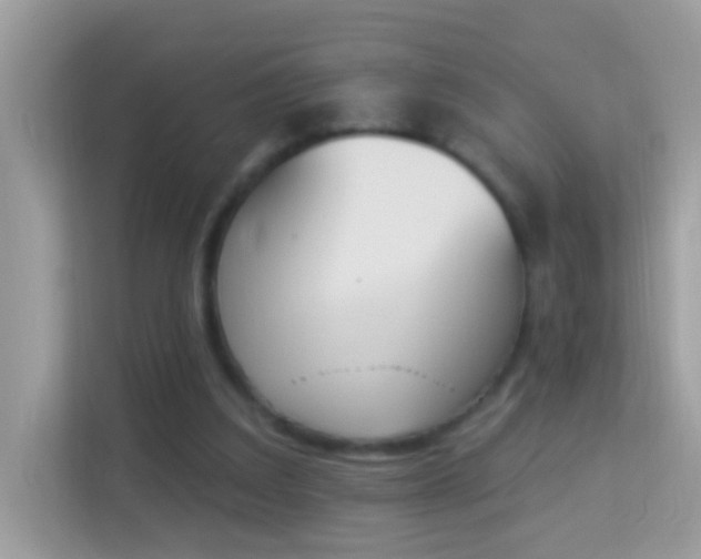 X0000114240203200910091515