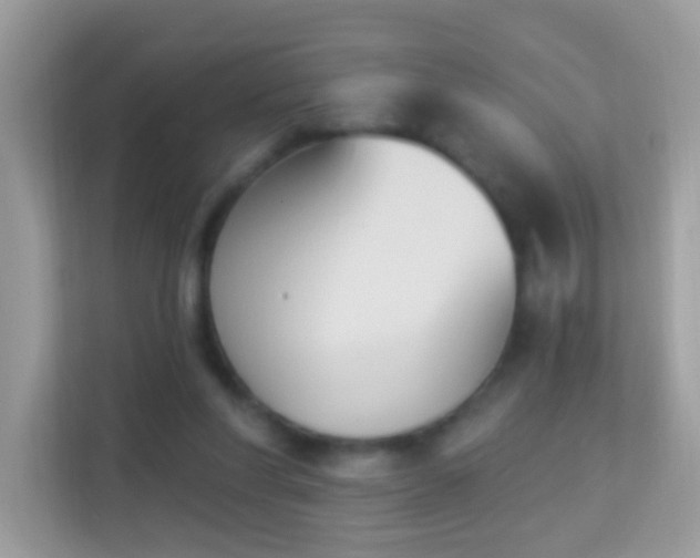 X0000114240206200910091515
