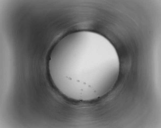 X0000114240207200910091515