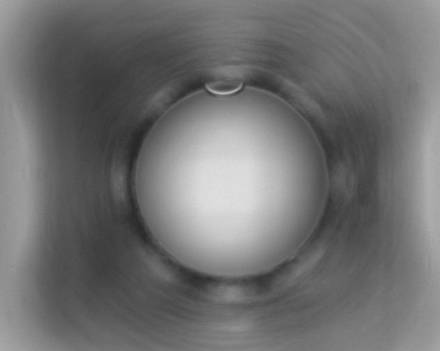 X0000114240209200910091515