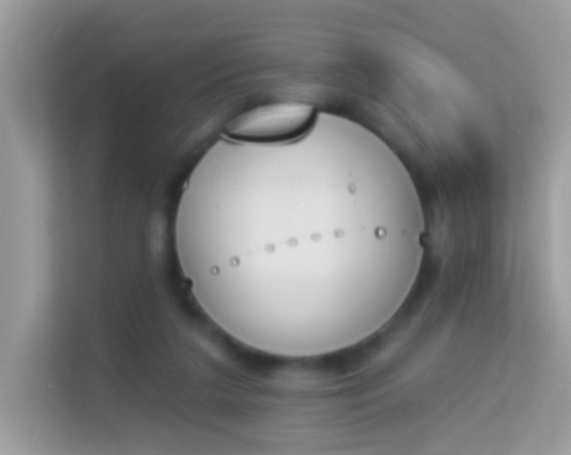 X0000114240211200910091515