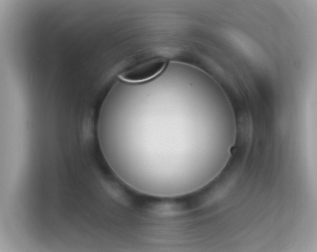 X0000114240212200910091515