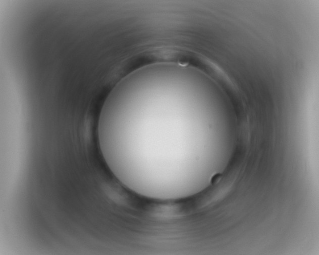X0000114240217200910091515