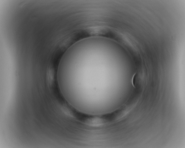 X0000114240219200910091515