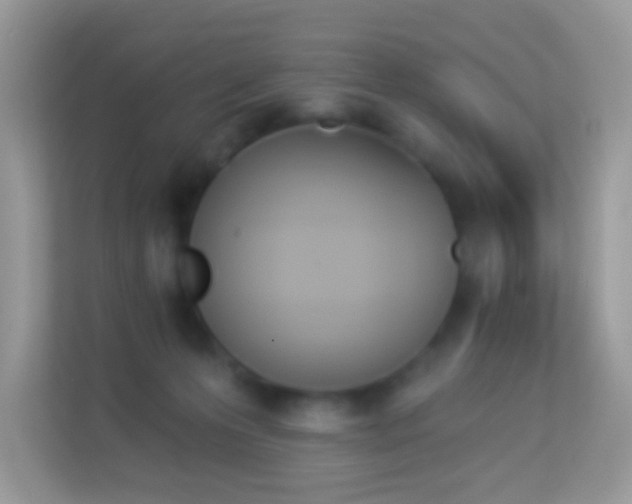 X0000114240223200910091515