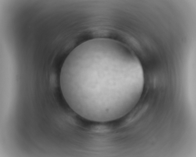 X0000114240224200910091515