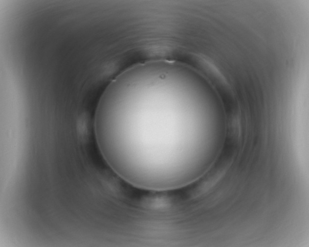 X0000114240228200910091515