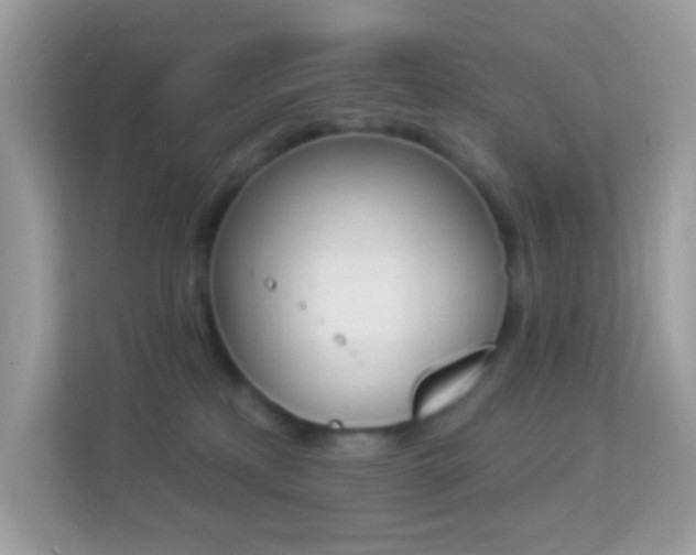 X0000114240233200910091515