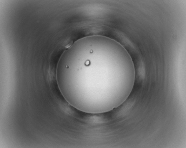 X0000114240236200910091515