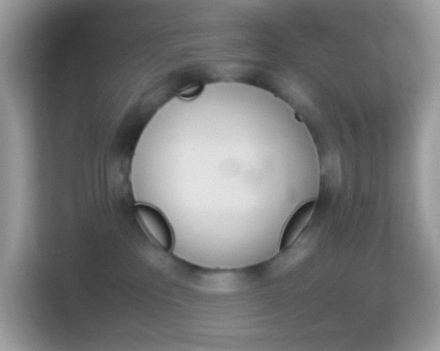 X0000114240237200910091515
