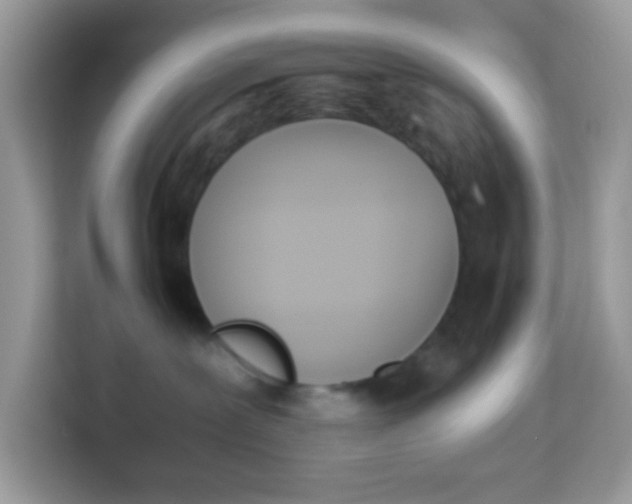 X0000114240239200910091515