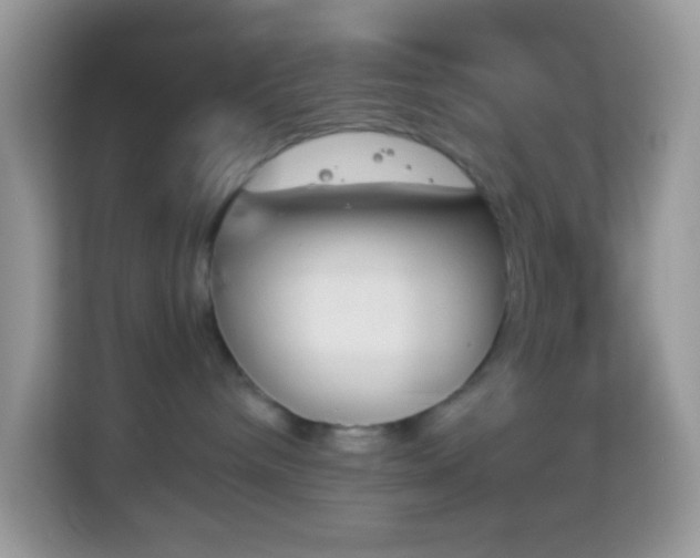 X0000114240240200910091515