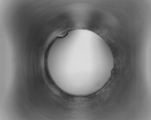 X0000114240242200910091514