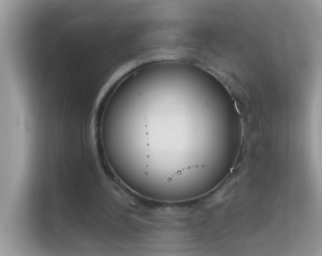 X0000114240244200910091514