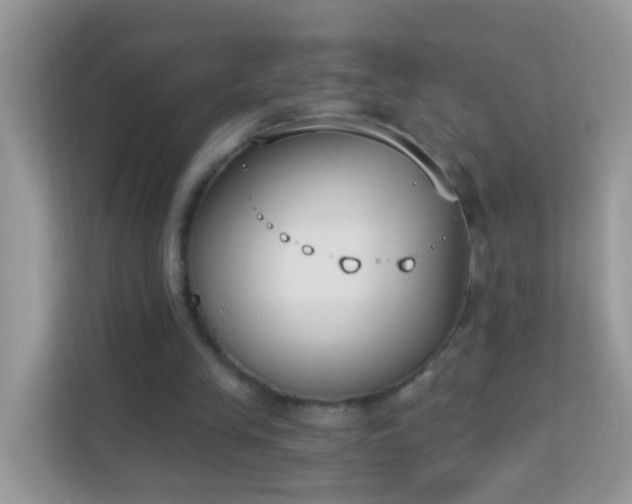 X0000114240245200910091514