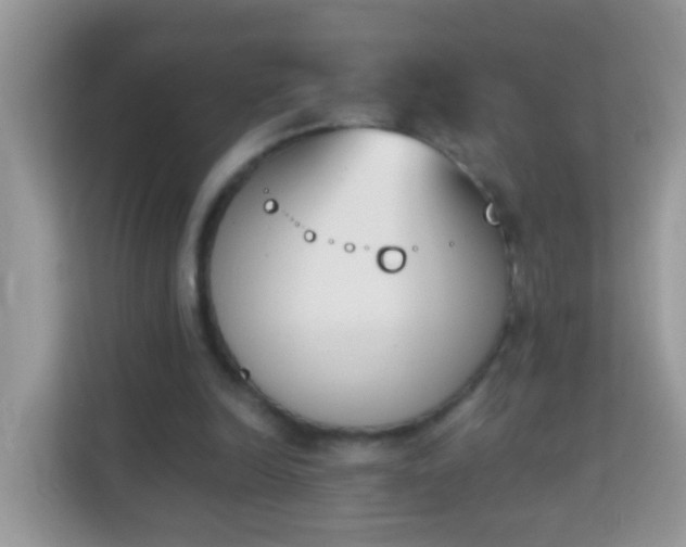 X0000114240246200910091514