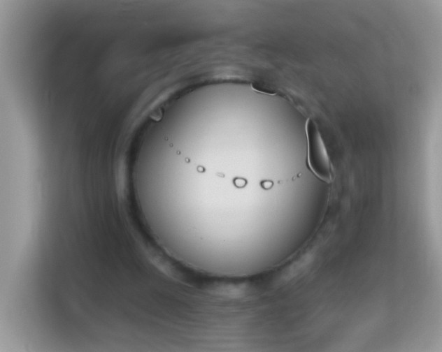 X0000114240247200910091514