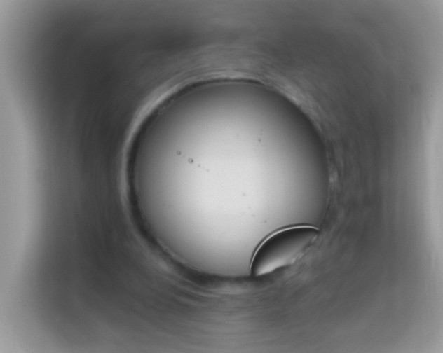X0000114240248200910091514