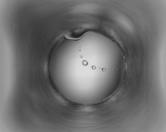 X0000114240249200910091514