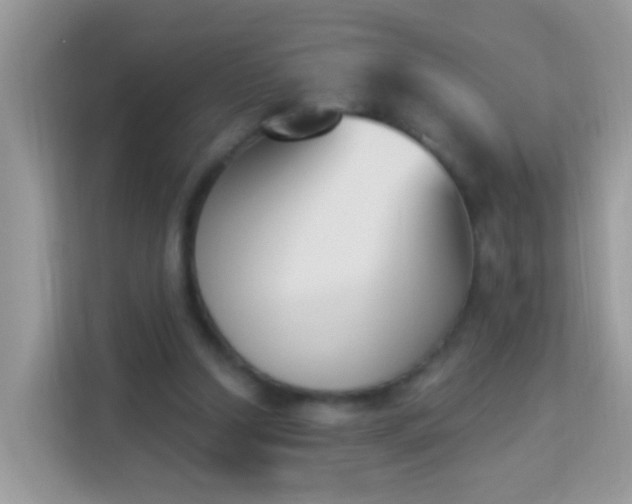 X0000114240250200910091514