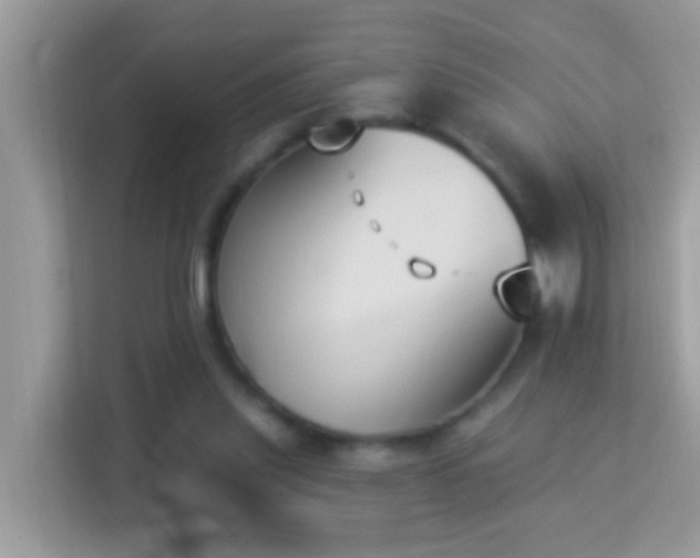 X0000114240253200910091514