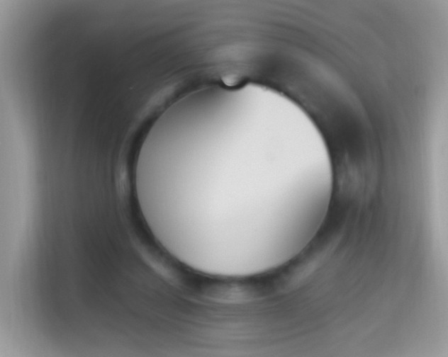 X0000114240254200910091514