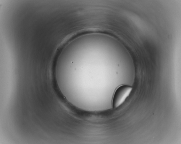 X0000114240256200910091514