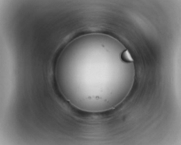 X0000114240260200910091514