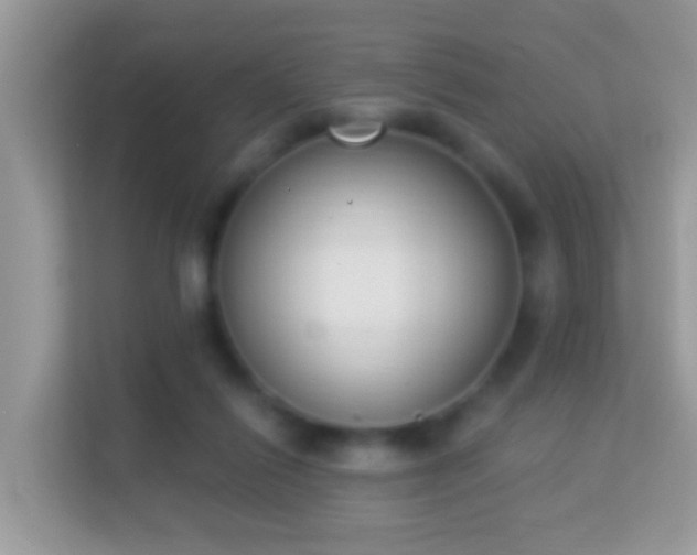 X0000114240262200910091514