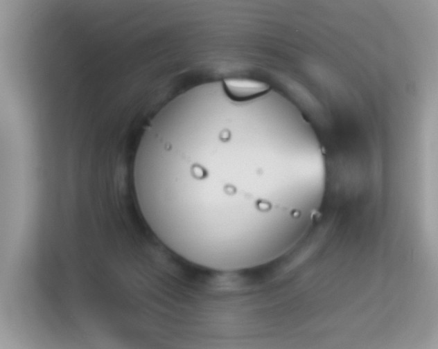 X0000114240269200910091514