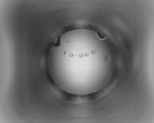X0000114240270200910091514