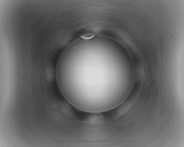 X0000114240274200910091514