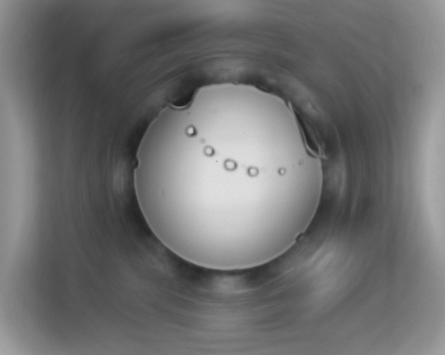 X0000114240283200910091515