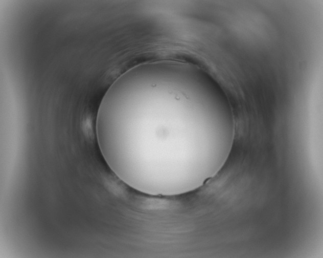 X0000114240286200910091515