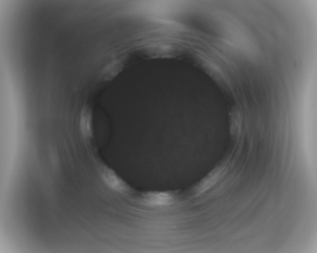 X0000114240287200910091515