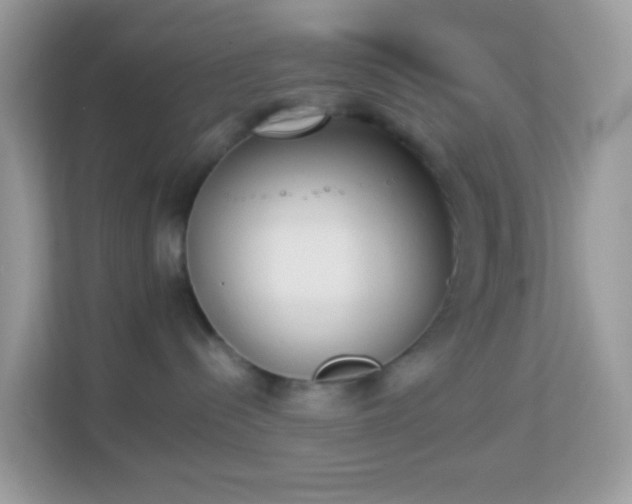 X0000114240288200910091515