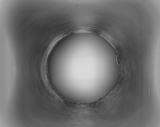 X0000114240289200910091514