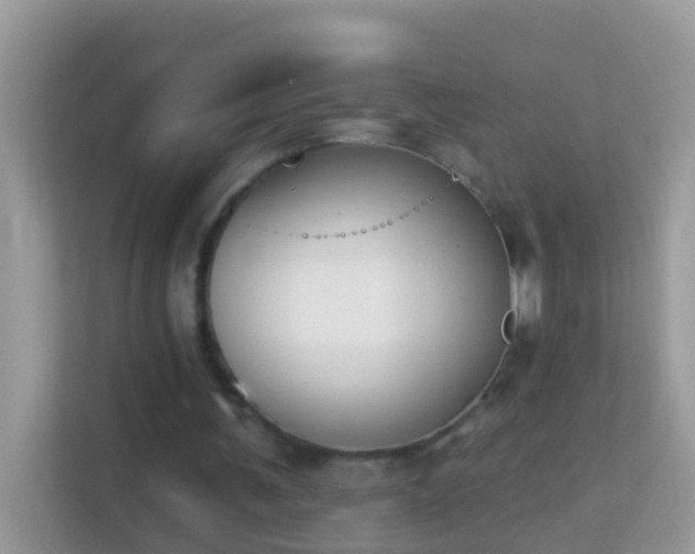 X0000114240291200910091514