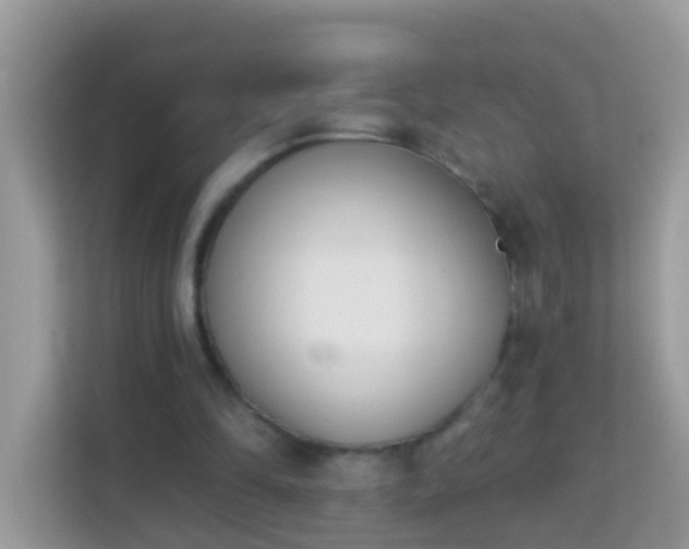 X0000114240294200910091514