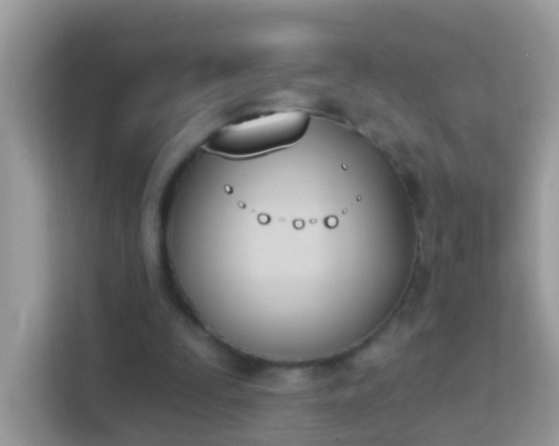 X0000114240295200910091514
