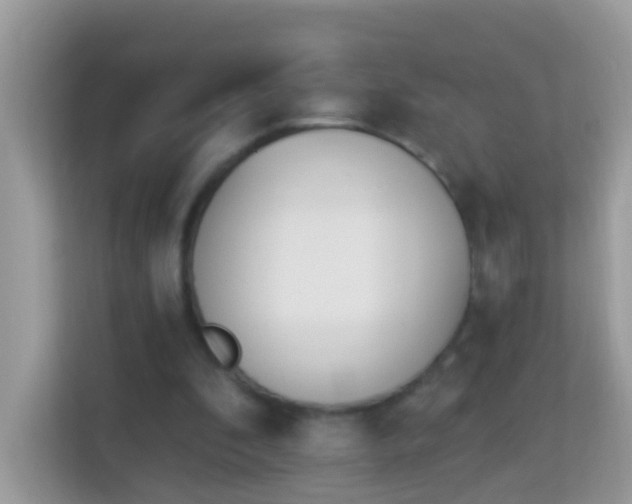 X0000114240296200910091514