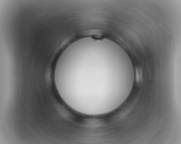 X0000114240300200910091514